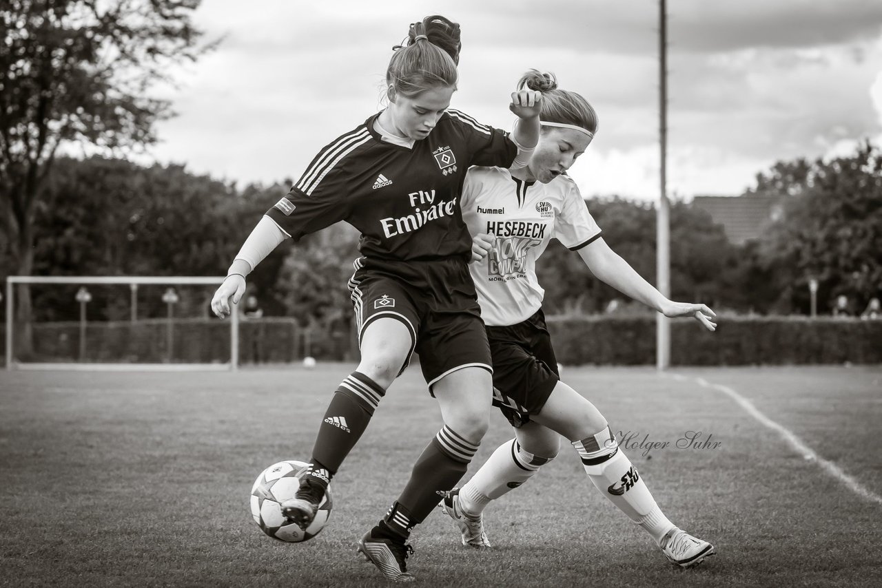 Bild 1242 - B-Juniorinnen SV Henstedt Ulzburg - Hamburger SV : Ergebnis: 2:3